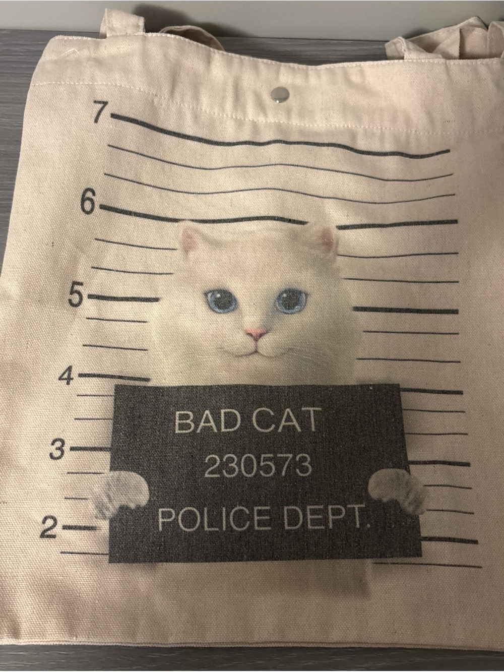 Strand Bookstore Canvas Tote Bag Cat Book Bag/crossbody